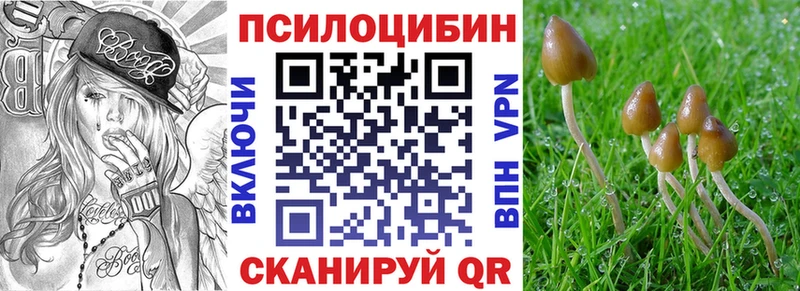 Купить  Осинники  Псилоцибиновые грибы GOLDEN TEACHER 