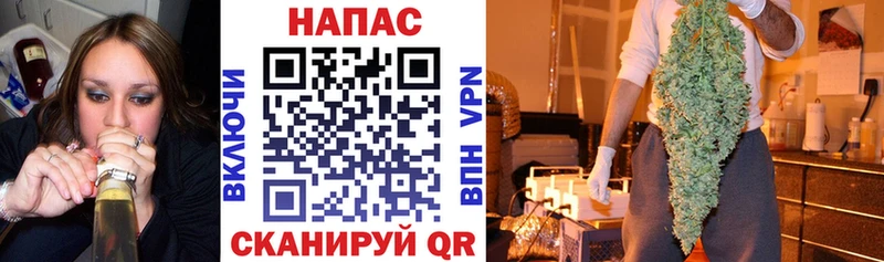 Купить  Осинники  Канабис SATIVA & INDICA 